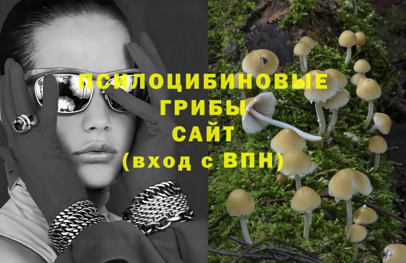 купить наркотики сайты  нарко площадка формула  Псилоцибиновые грибы Psilocybe  Козельск 